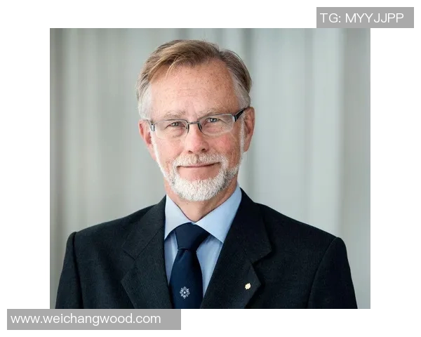 瑞典足球新星汉森：崛起中的天才前锋与未来之星