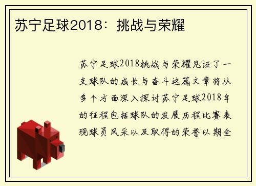 苏宁足球2018：挑战与荣耀