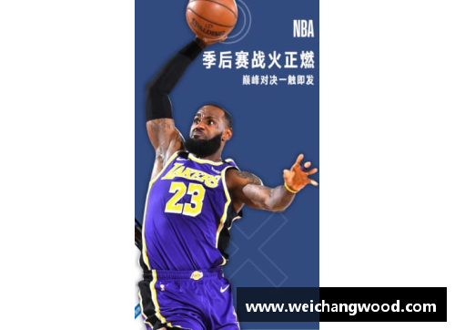 NBA直播极速体育带你畅享全程实时赛事直播